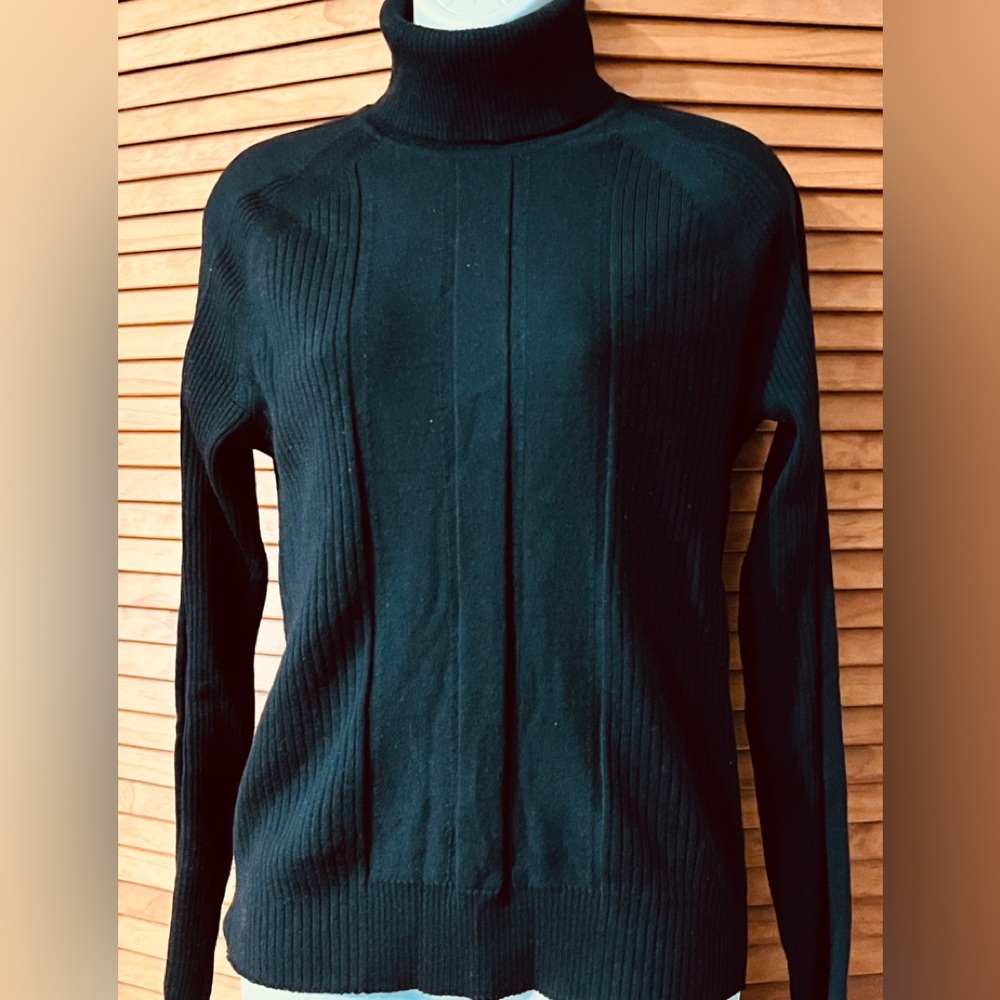 Black Merino Fine Wool Knit Turtleneck 34”chest inset sleeves torso 23” long